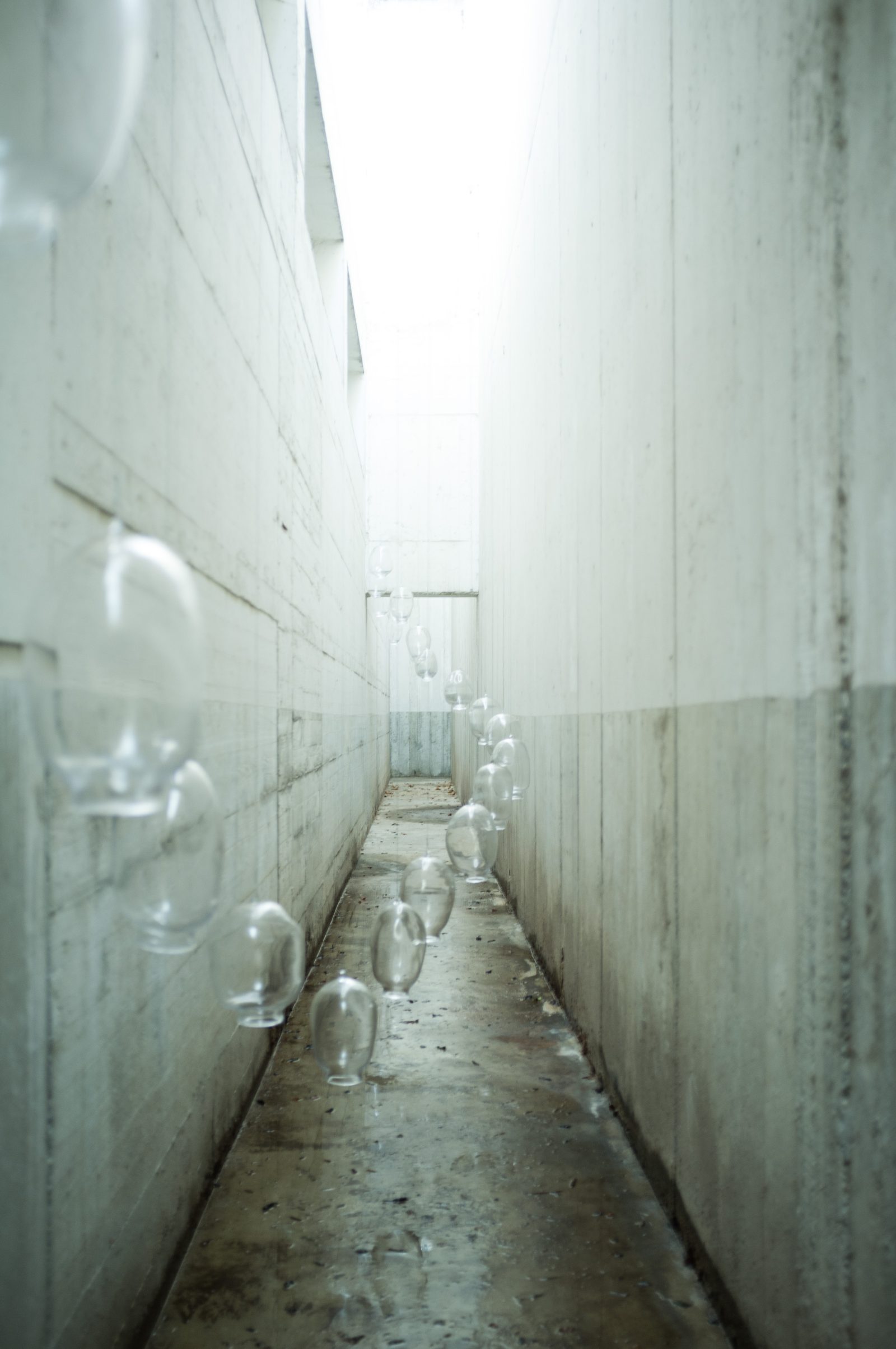Verdandi Lab, installation view